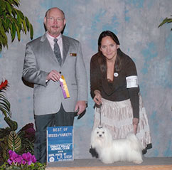 Dog Breeders